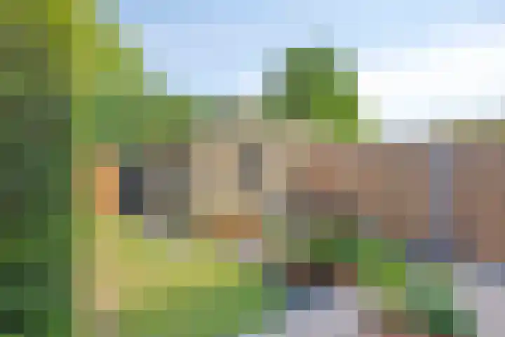 Dommelrodelaan 23 Sint-Oedenrode thumbnail 5