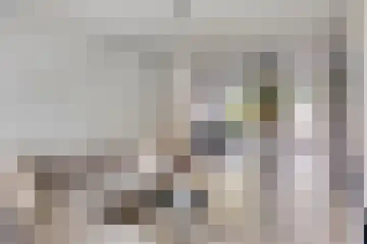 Dommelrodelaan 23 Sint-Oedenrode thumbnail 9