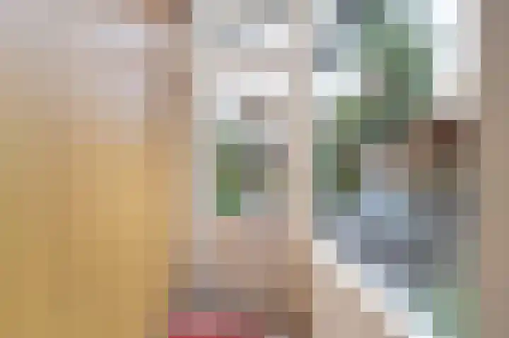 Dommelrodelaan 9 Sint-Oedenrode thumbnail 12