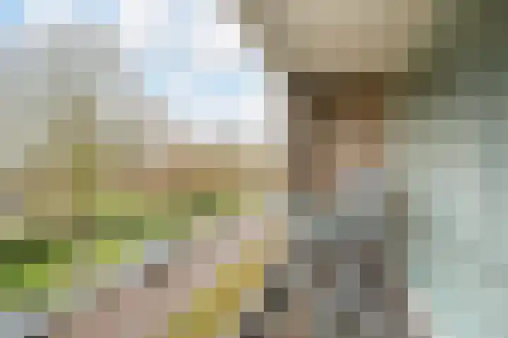 Dommelrodelaan 9 Sint-Oedenrode thumbnail 31