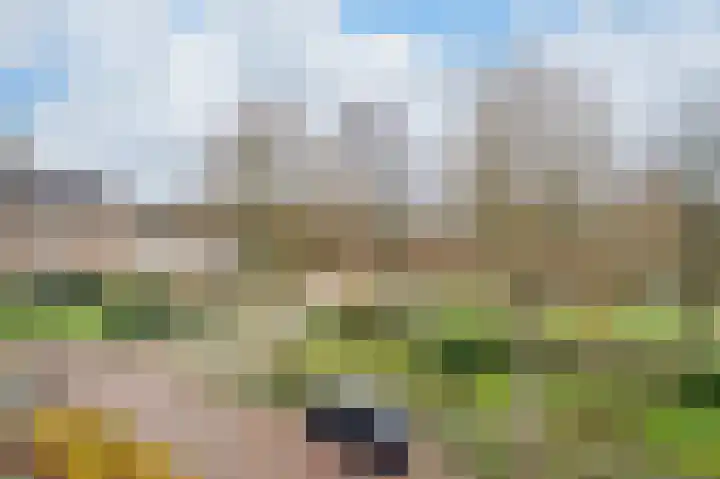 Dommelrodelaan 9 Sint-Oedenrode thumbnail 32