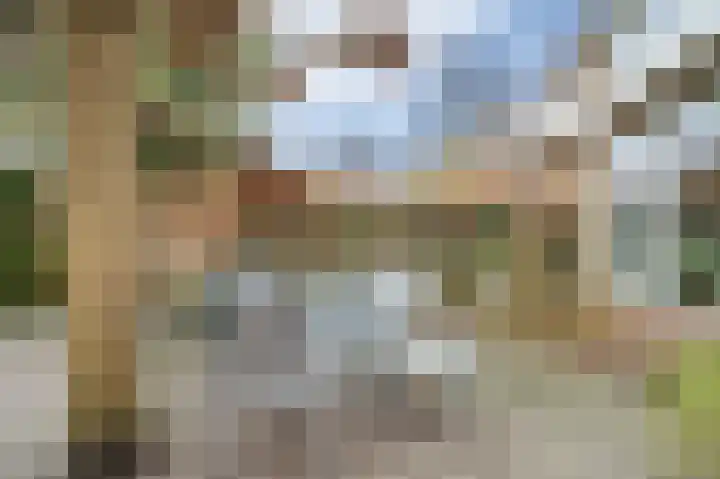 Dommelrodelaan 9 Sint-Oedenrode thumbnail 33