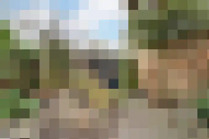 Dommelrodelaan 9 Sint-Oedenrode thumbnail 34
