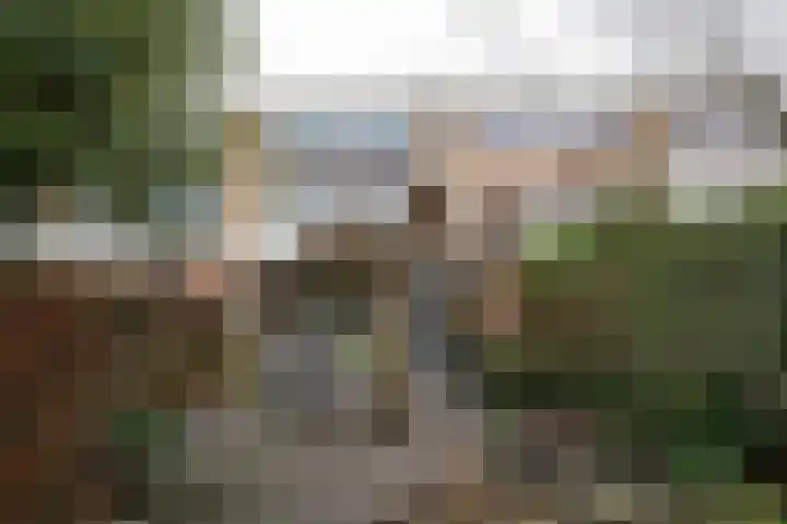 Dommelrodelaan 9 Sint-Oedenrode thumbnail 35