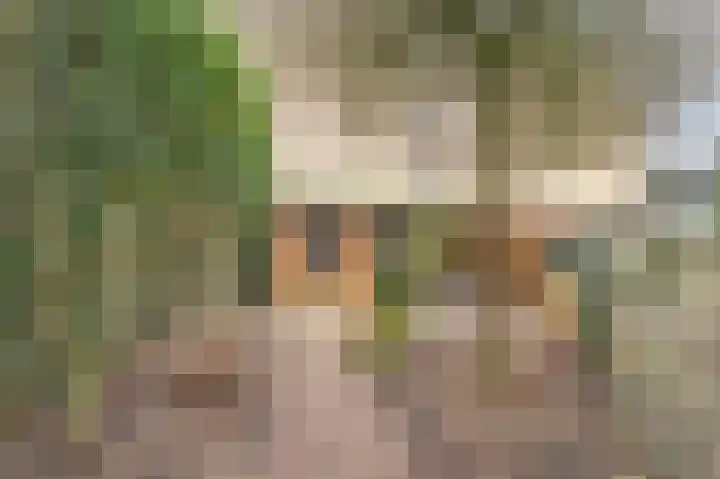 Dommelrodelaan 9 Sint-Oedenrode thumbnail 39