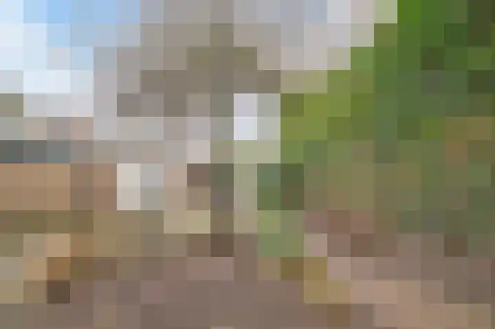 Dommelrodelaan 9 Sint-Oedenrode thumbnail 40
