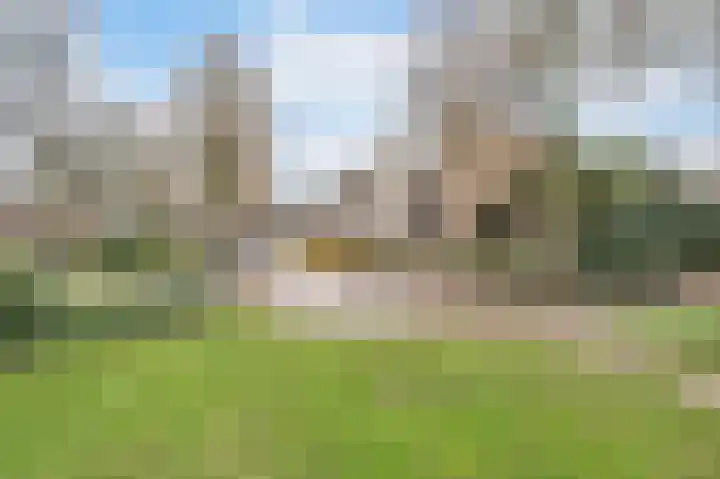 Dommelrodelaan 9 Sint-Oedenrode thumbnail 41