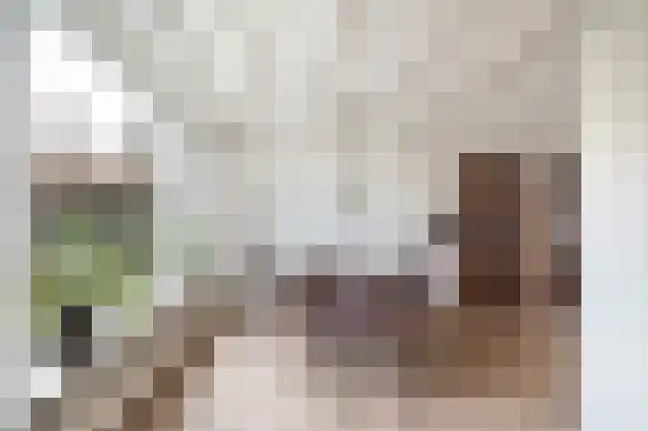 Dommelrodelaan 9 Sint-Oedenrode thumbnail 8