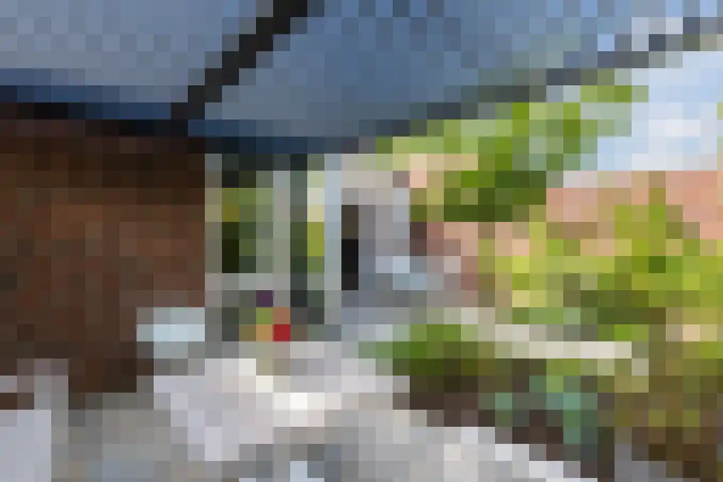 Dommelse Dijk 13 Valkenswaard thumbnail 12