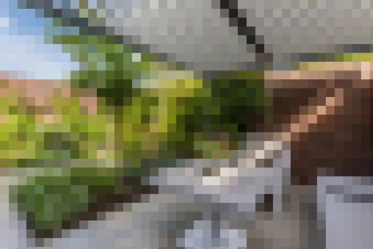 Dommelse Dijk 13 Valkenswaard thumbnail 5