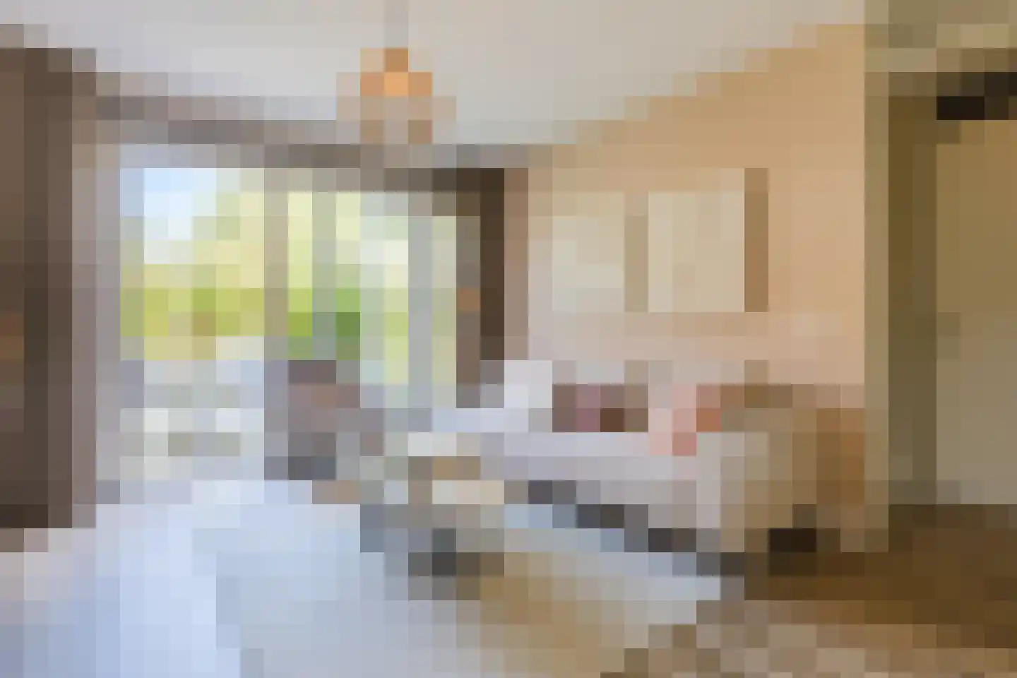 Dommelse Dijk 13 Valkenswaard thumbnail 8