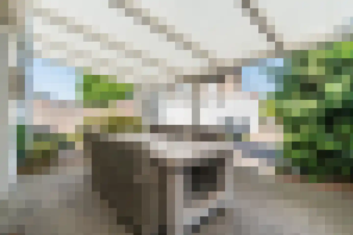 Dommelseweg 108 Valkenswaard thumbnail 25