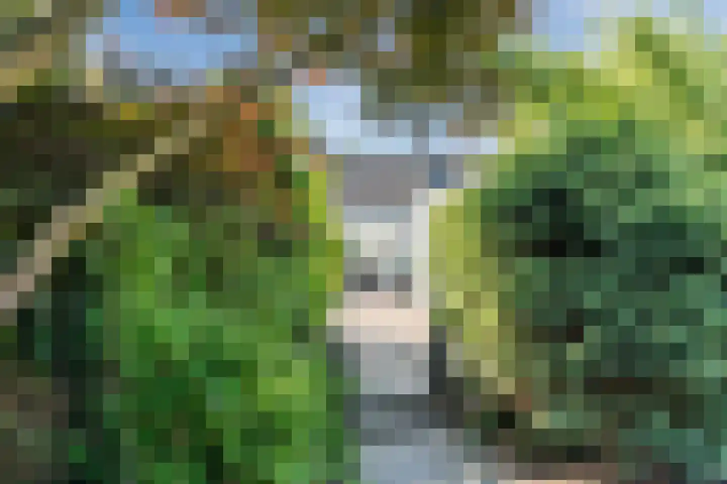 Dommelseweg 108 Valkenswaard thumbnail 4