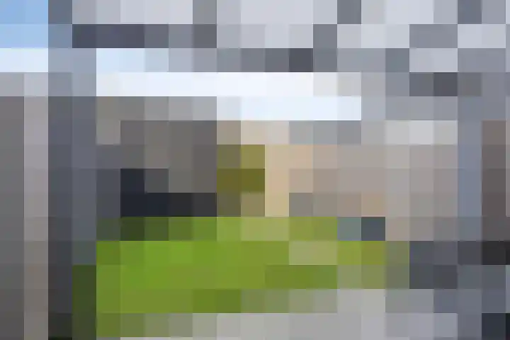 Dommelseweg 122 Valkenswaard thumbnail 29