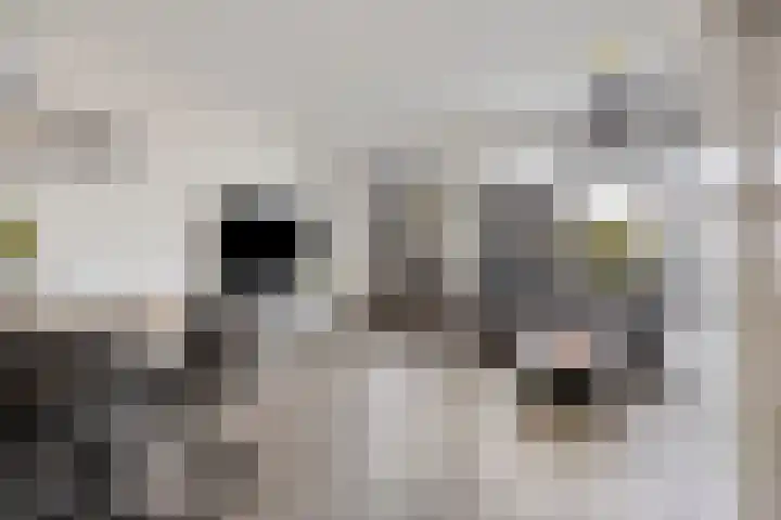 Dommelseweg 122 Valkenswaard thumbnail 7
