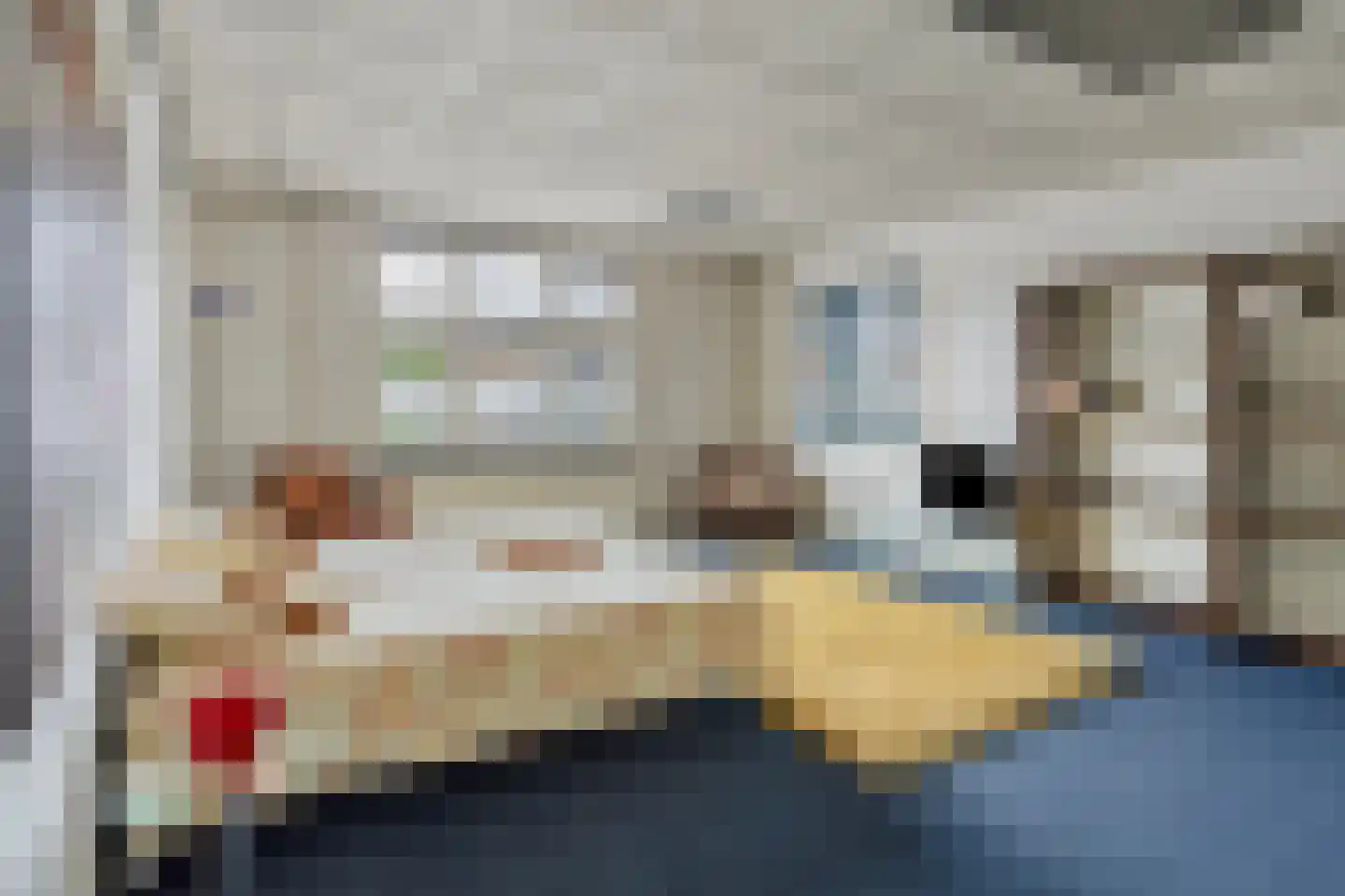 Dommelseweg 20 Valkenswaard thumbnail 22