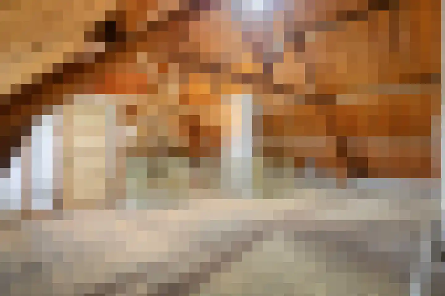 Dommelseweg 20 Valkenswaard thumbnail 34
