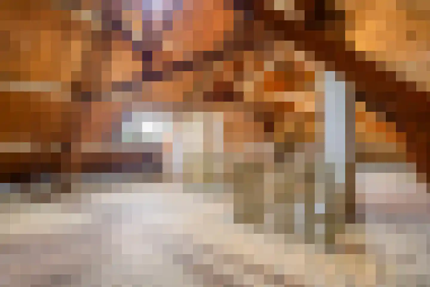Dommelseweg 20 Valkenswaard thumbnail 35