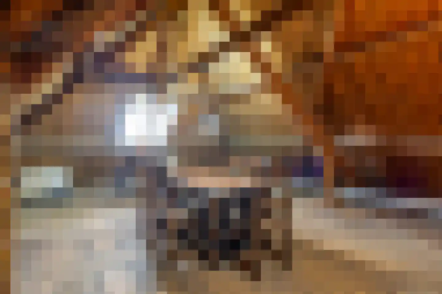 Dommelseweg 20 Valkenswaard thumbnail 36