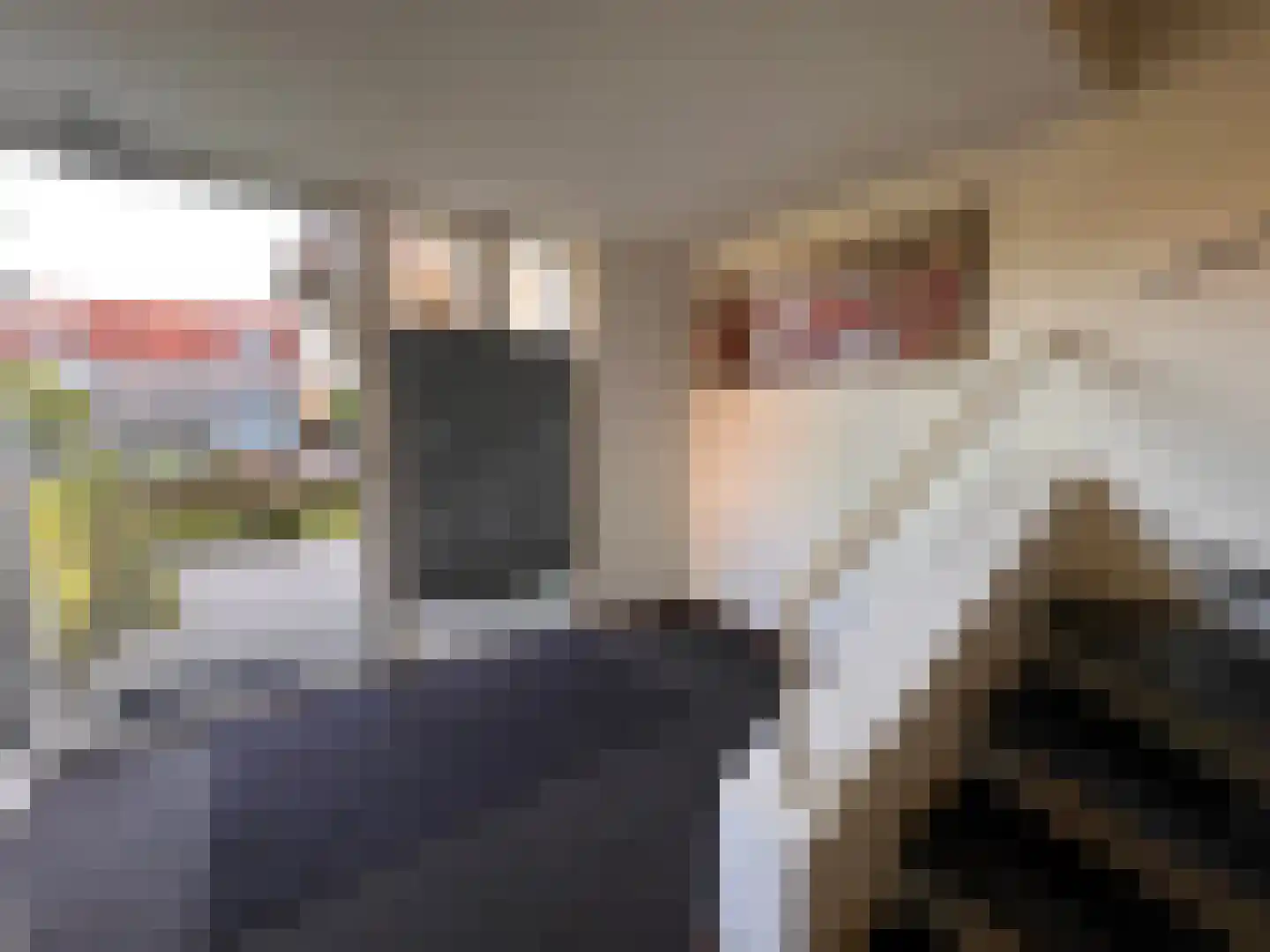 Dommelseweg 33 D Valkenswaard thumbnail 10