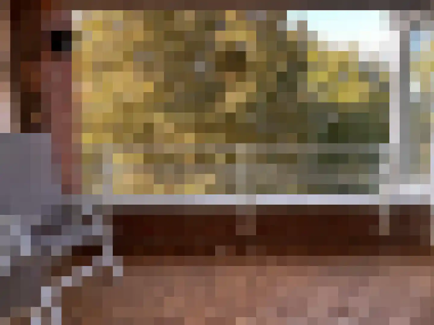 Dommelseweg 33 D Valkenswaard thumbnail 25