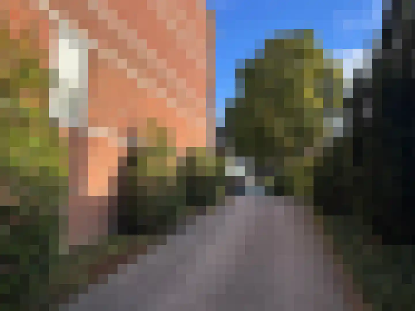 Dommelseweg 33 D Valkenswaard foto 3