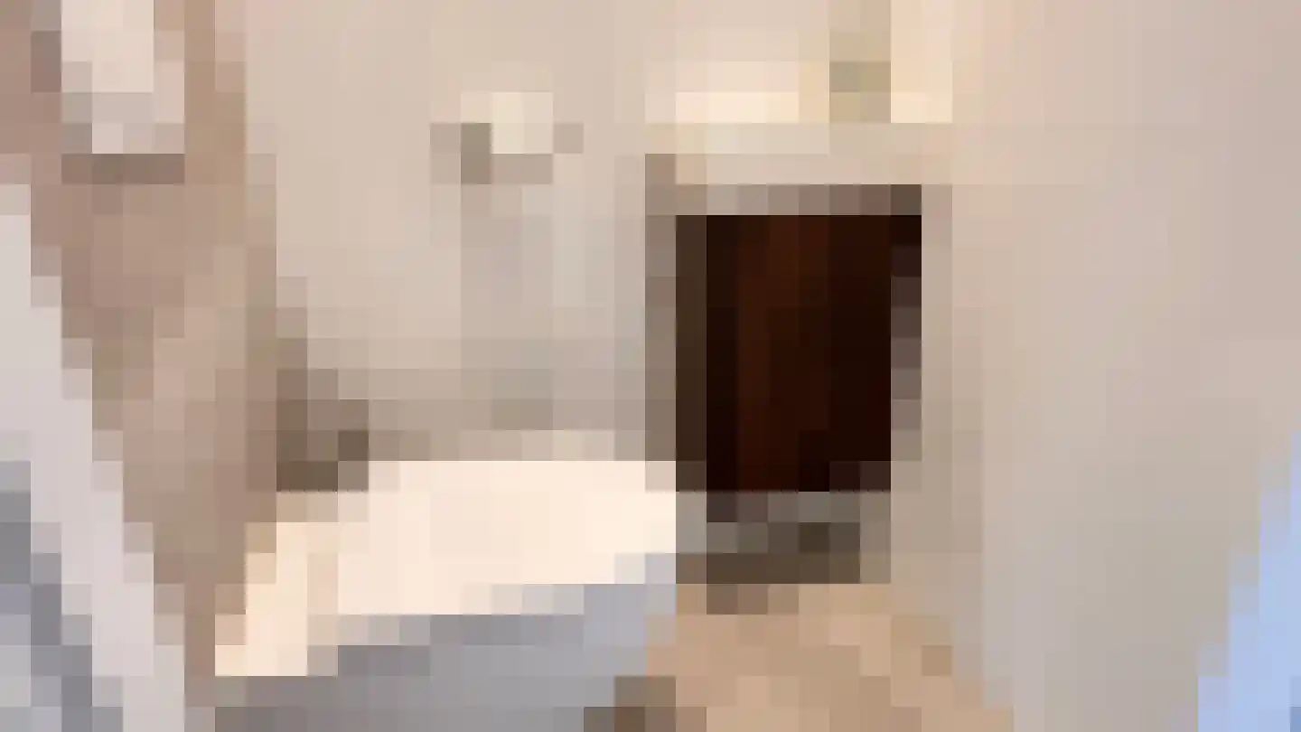Dommelseweg 33 D Valkenswaard thumbnail 34