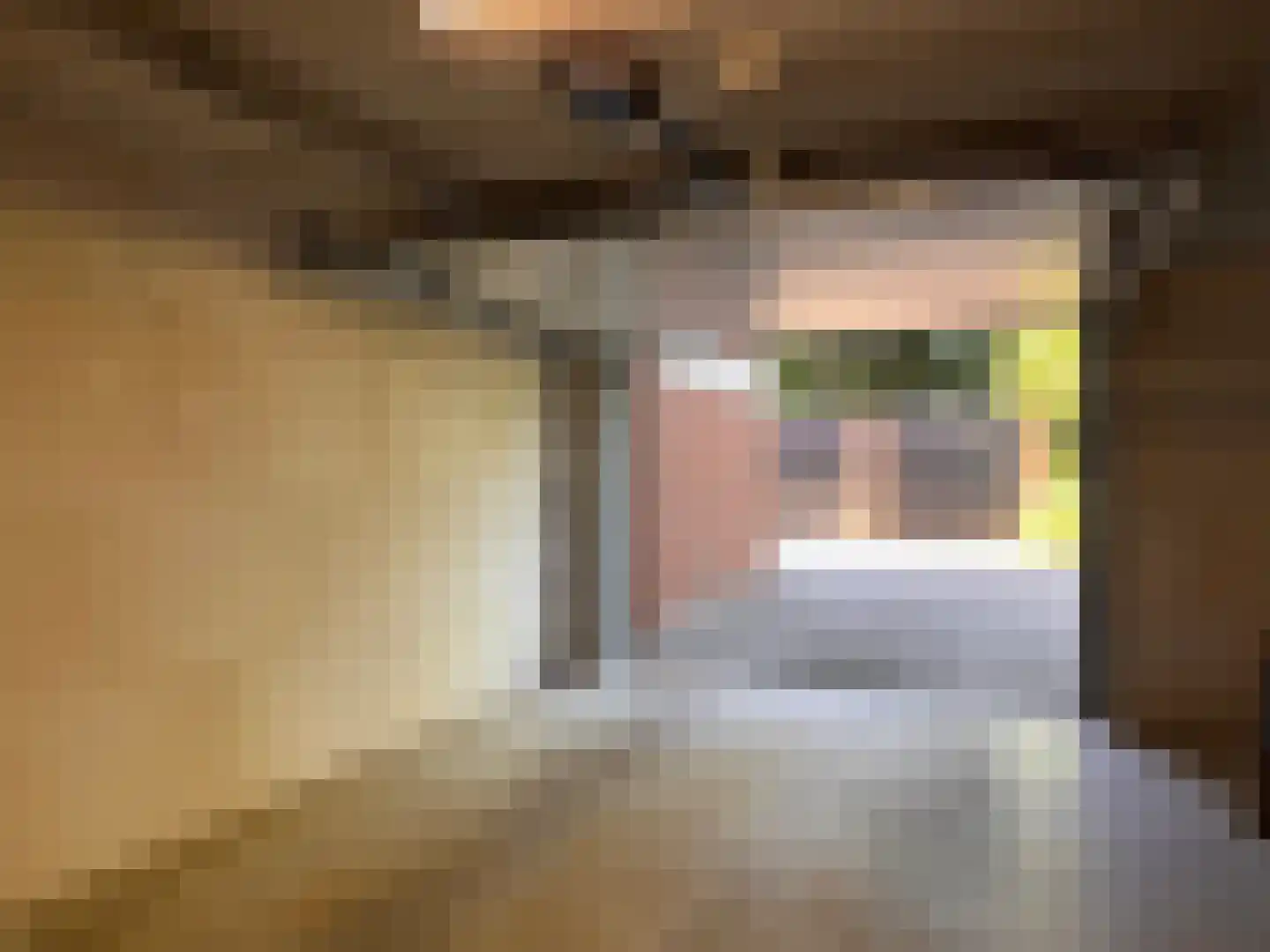 Dommelseweg 33 D Valkenswaard thumbnail 36