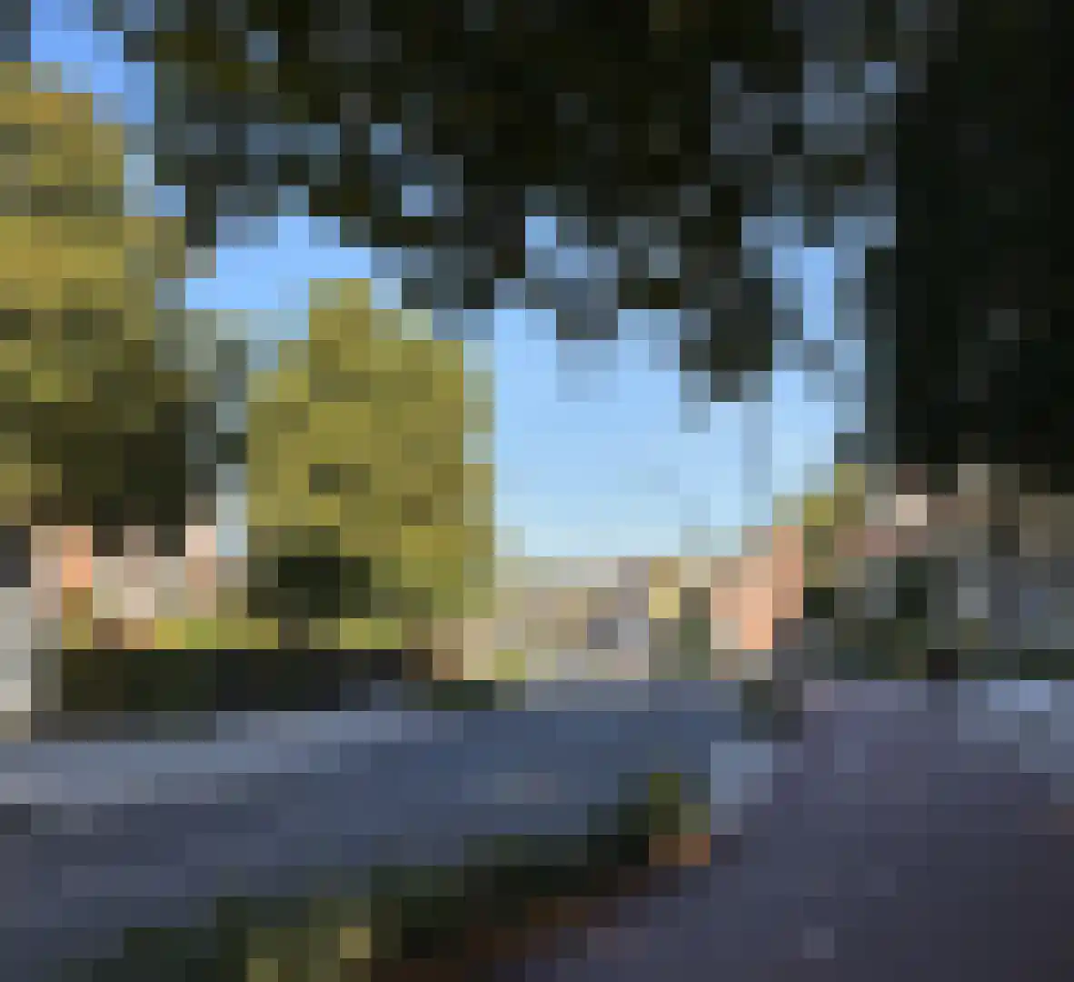 Dommelseweg 33 D Valkenswaard thumbnail 37
