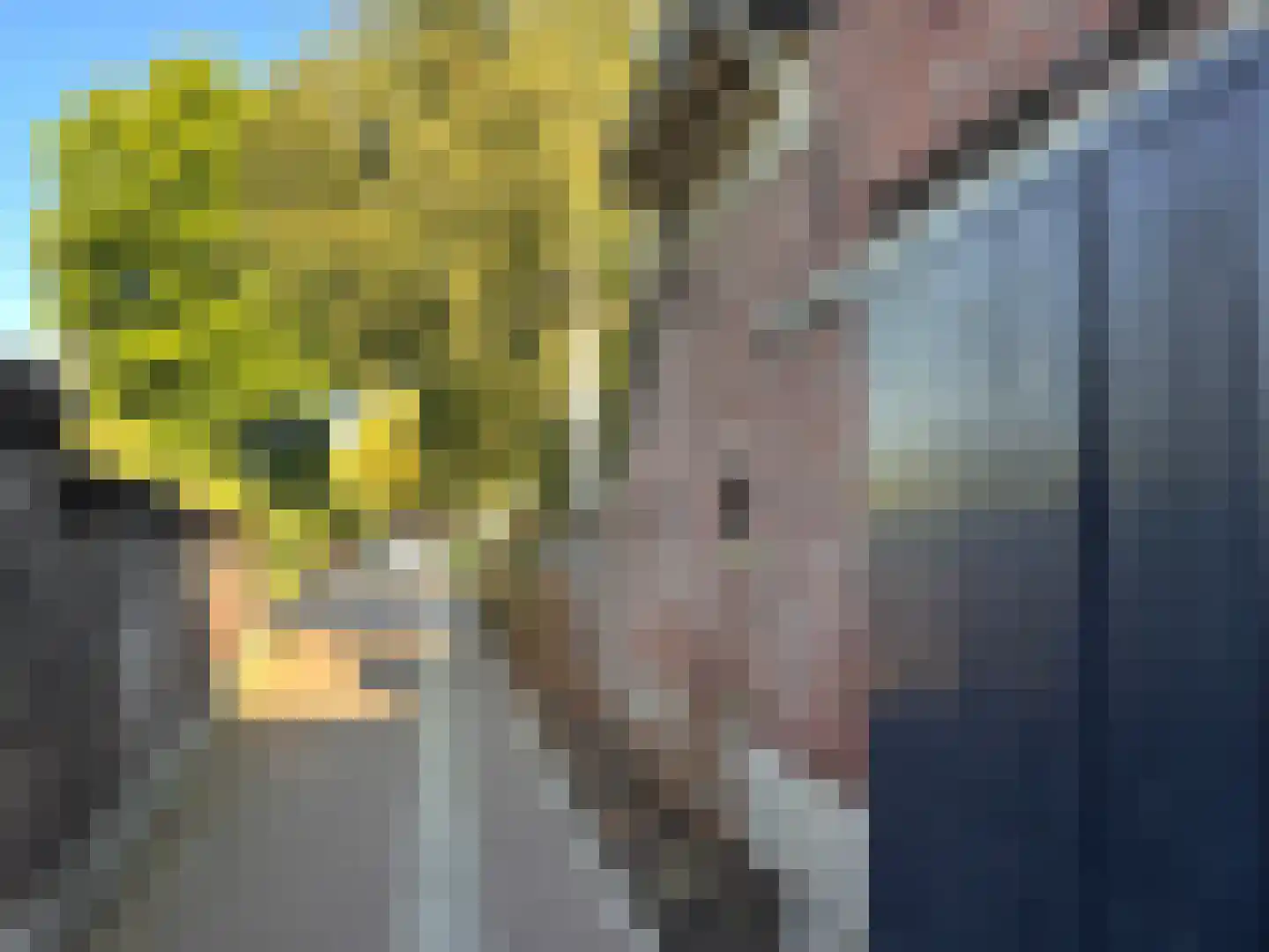 Dommelseweg 33 D Valkenswaard thumbnail 41