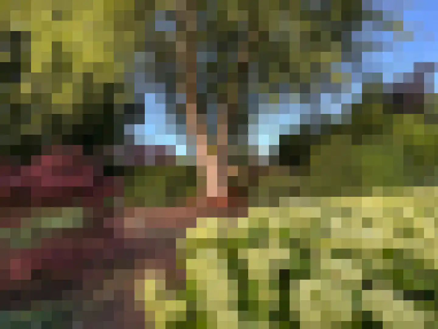 Dommelseweg 33 D Valkenswaard thumbnail 6