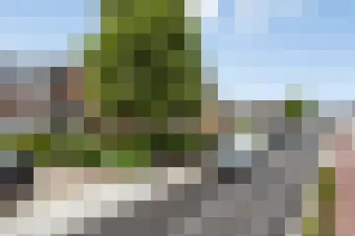 Dommelseweg 37 C Valkenswaard thumbnail 10
