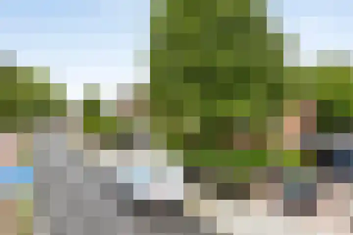 Dommelseweg 37 C Valkenswaard thumbnail 11