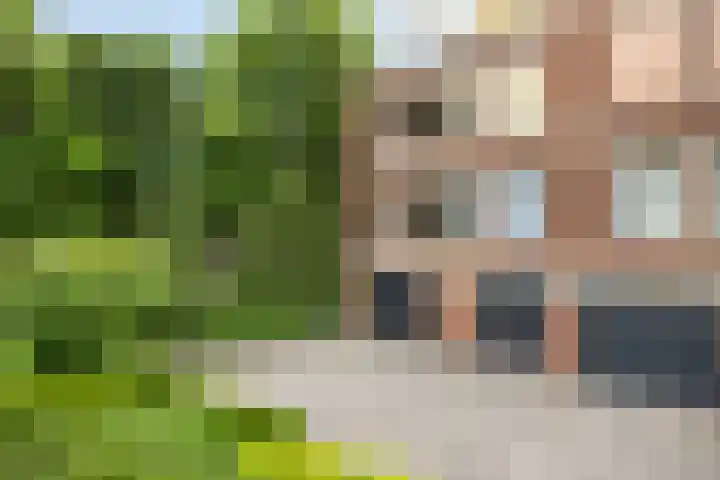 Dommelseweg 37 C Valkenswaard thumbnail 37