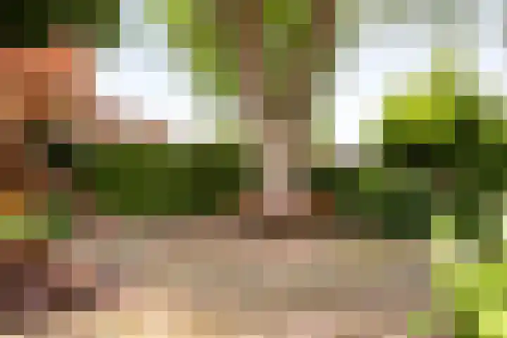 Dommelseweg 37 C Valkenswaard thumbnail 39
