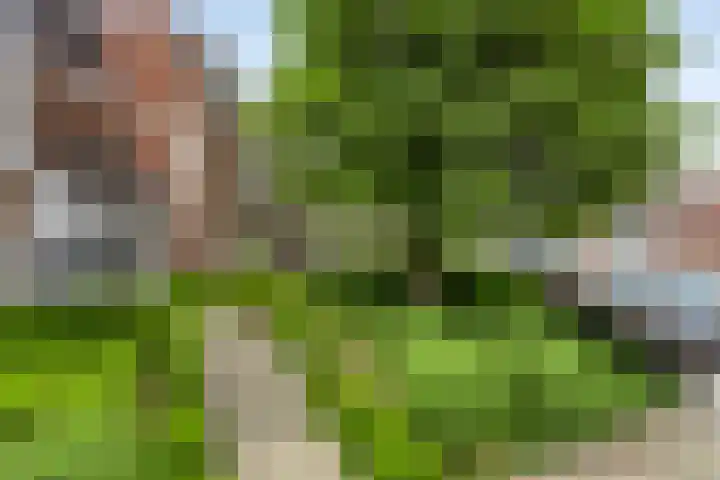Dommelseweg 37 C Valkenswaard thumbnail 5