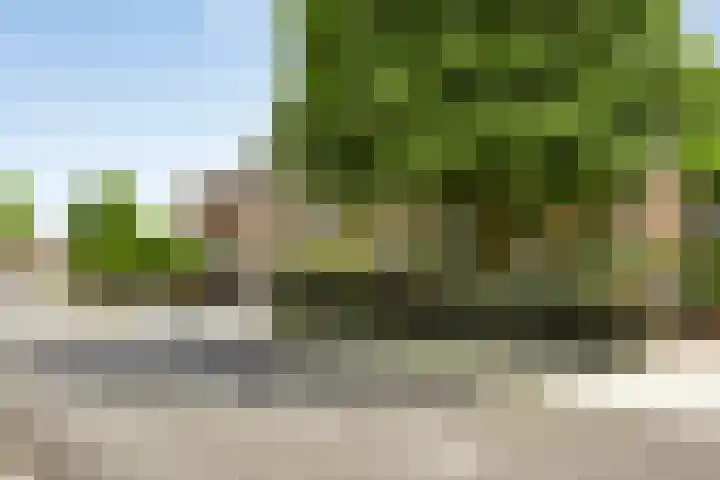 Dommelseweg 37 C Valkenswaard thumbnail 6