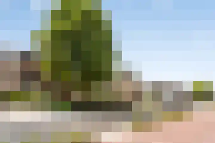 Dommelseweg 37 C Valkenswaard thumbnail 7