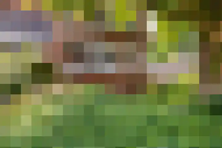 Dommelseweg 37 C Valkenswaard thumbnail 8