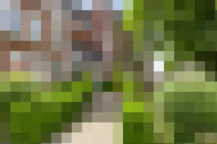 Dommelseweg 37 C Valkenswaard thumbnail 9