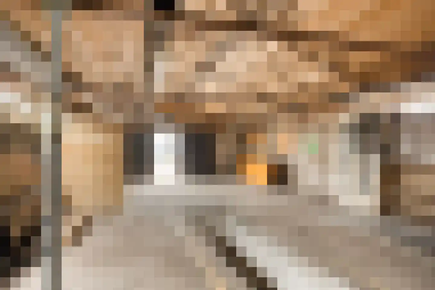Dommelseweg 84 Valkenswaard thumbnail 30