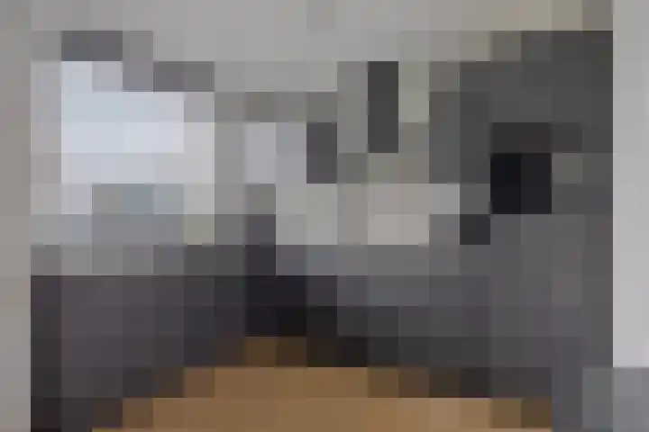 Dommelshei 13 Veldhoven thumbnail 11