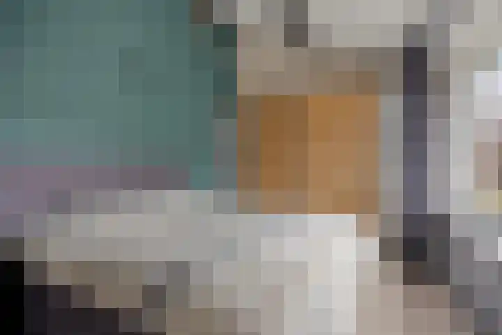 Dommelshei 13 Veldhoven thumbnail 15