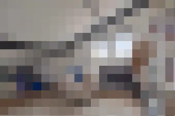 Dommelshei 13 Veldhoven thumbnail 23