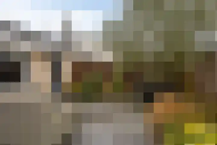 Dommelshei 13 Veldhoven thumbnail 25