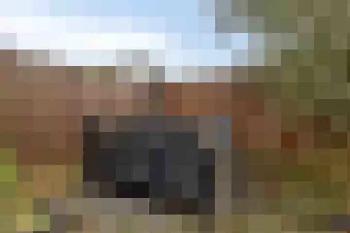 Dommelshei 13 Veldhoven thumbnail 27