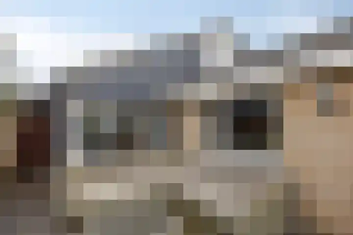 Dommelshei 13 Veldhoven thumbnail 28