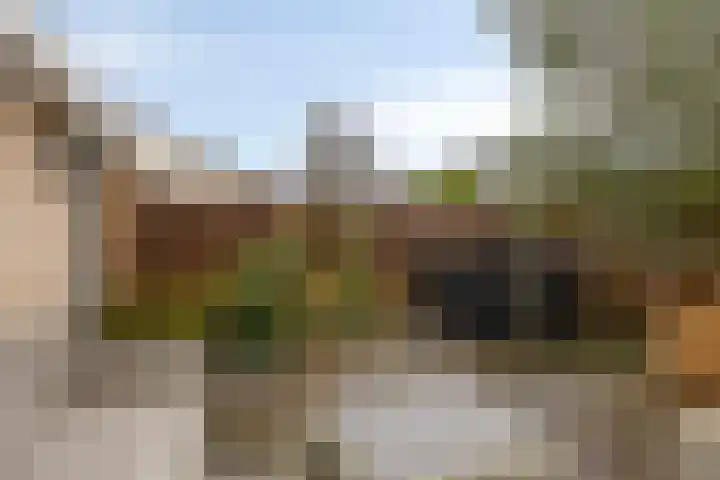 Dommelshei 13 Veldhoven thumbnail 4