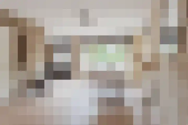 Dommelshei 22 Veldhoven thumbnail 17