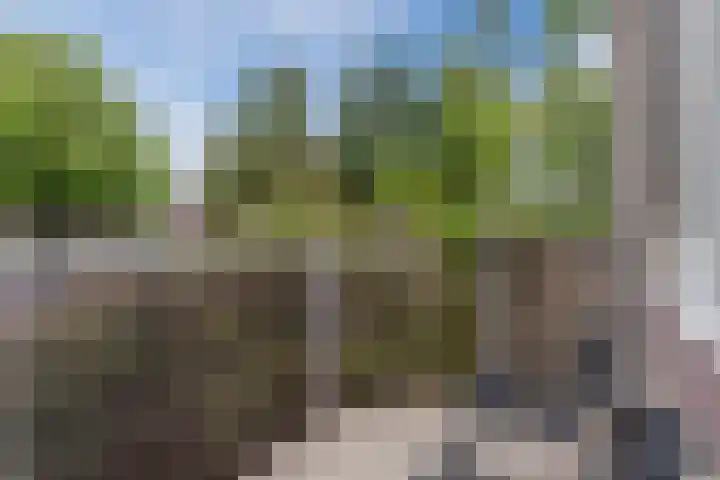 Dommelshei 22 Veldhoven thumbnail 19